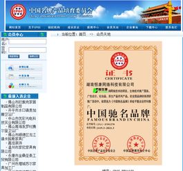 以品牌之光，照亮技術推廣之路——中國馳名品牌技術推廣服務戰略解析